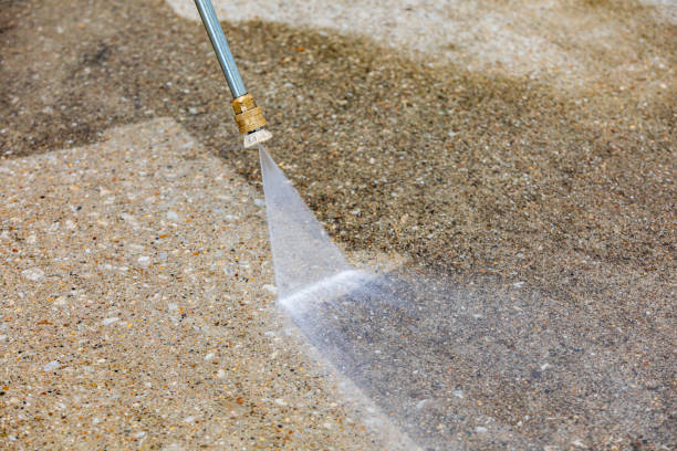 Best Dumpster Area Cleaning  in Holly Hill, FL