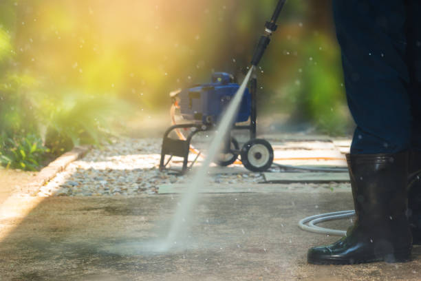 Best Roof Washing  in Holly Hill, FL
